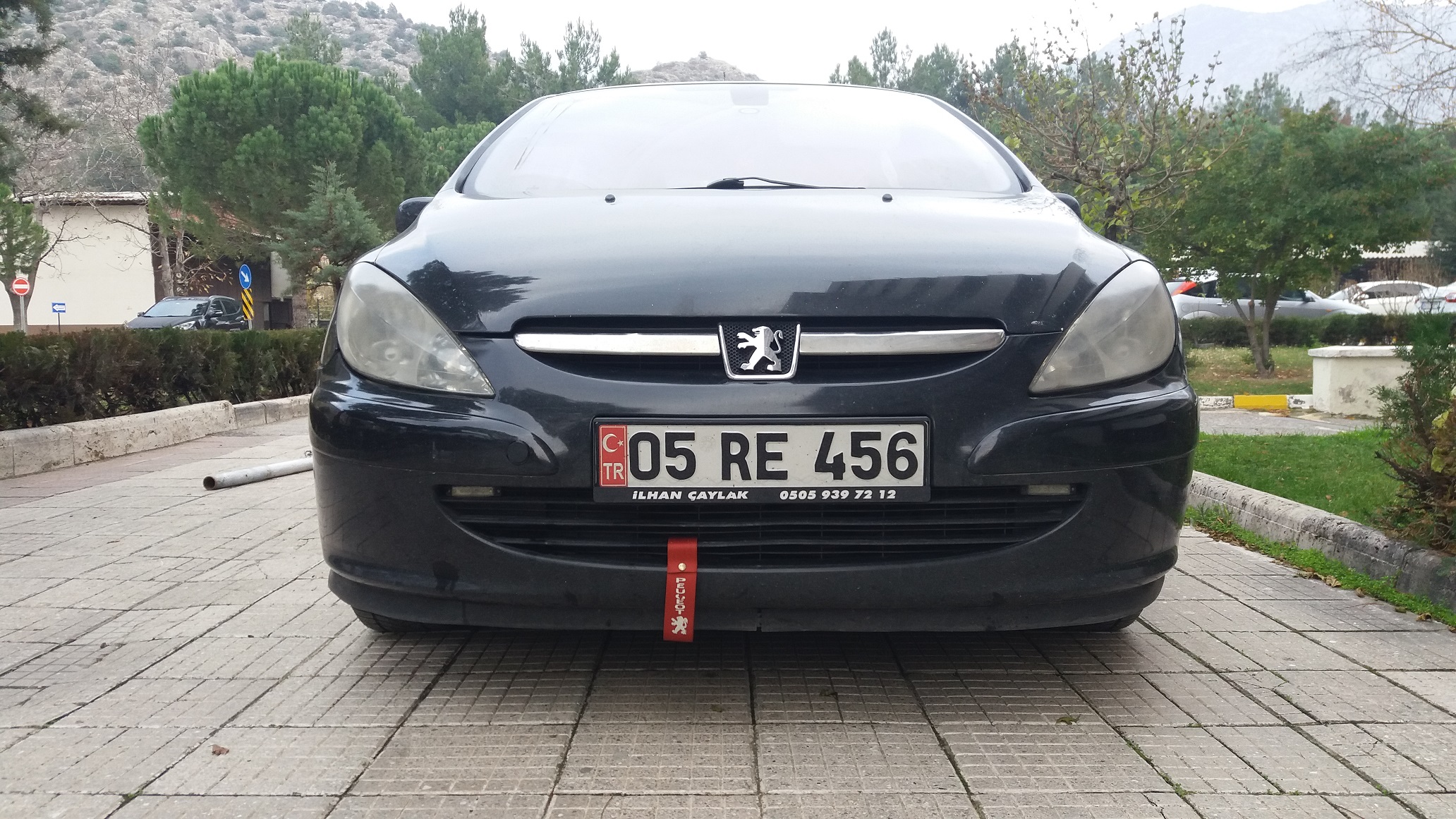 PEUGEOT 307